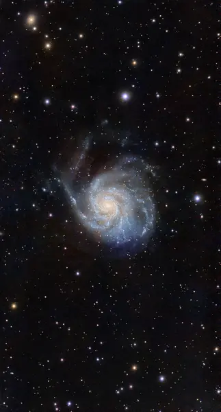 Galassia Girandola – M101